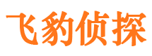 雷山外遇调查取证